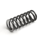 Clutch spring: standard