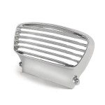 Horn grill (polished): DL/GP