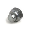 Front axle hub nut: Zinc