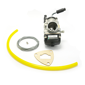 Dellorto PHBG 21mm AD carburetor kit for D/LD