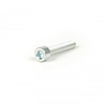 BGM intake manifold Allen bolt: M7 x 40mm Zinc