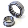 Bearing crankshaft flywheel side: CasaCase