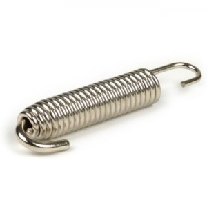 BGM exhaust spring: stainless