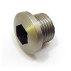 Crankcase side cover engine oil level plug